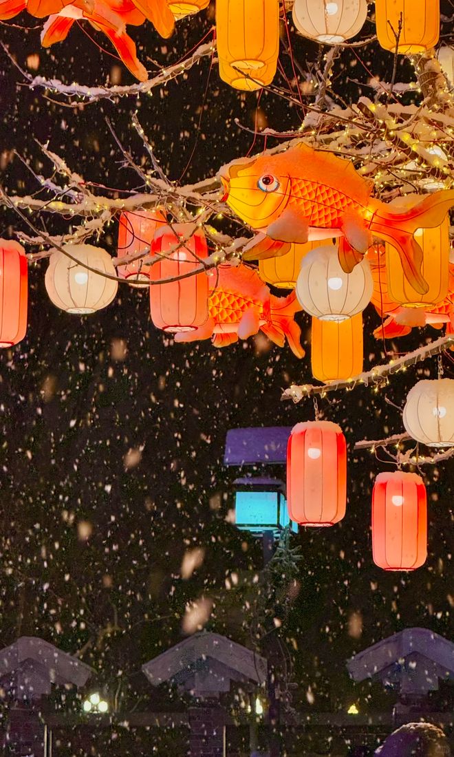 靠谱旅行社详解北京研学游四日游跟团纯玩寒假套餐价格及课程攻略